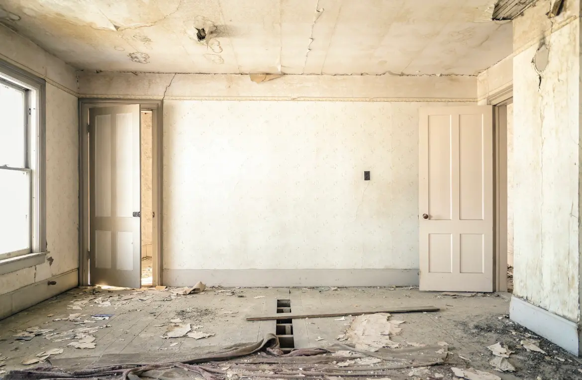 Waste disposal crew managing a cleanout project in Gig Harbor